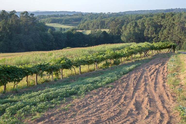 443F687D-BCEE-480A-80FD-0FFEE63C5570