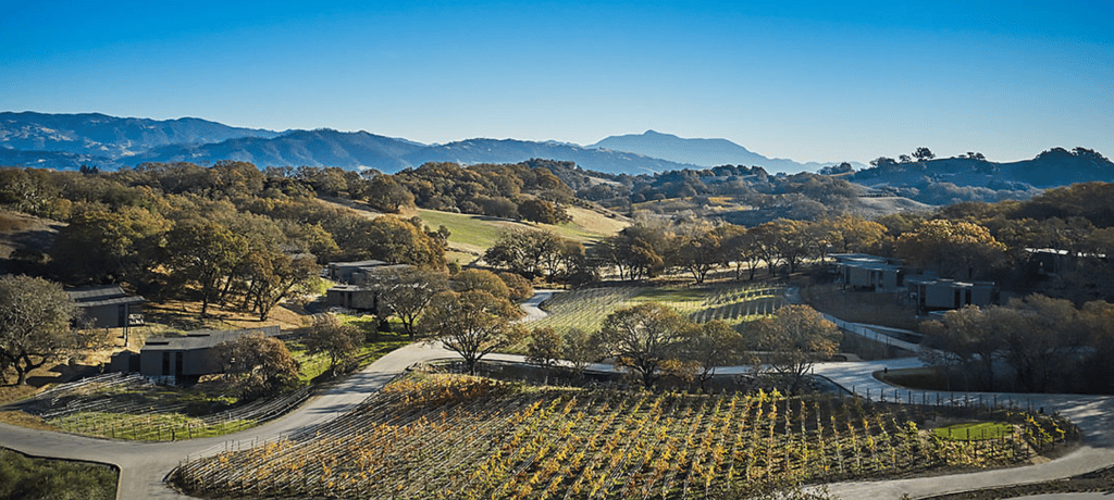 Screenshot 2025-08-05 at 4.08.32 PM