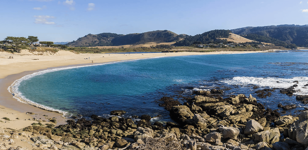 Screenshot 2025-08-05 at 4.40.53 PM