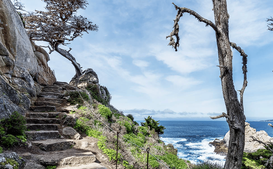 Carmel Valley Corporate Retreat Planning Guide