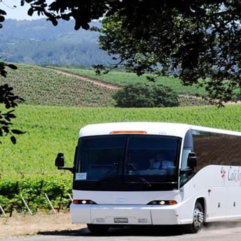 Bus Tour vineyards
